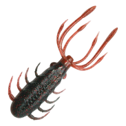 Bukkomi Craw Daddy