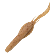 Jukusei Aqua Swim Shrimp