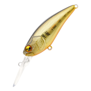 Level Shad